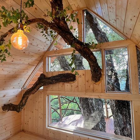 Roccatederighi Agriturismo Pereti المظهر الخارجي الصورة
