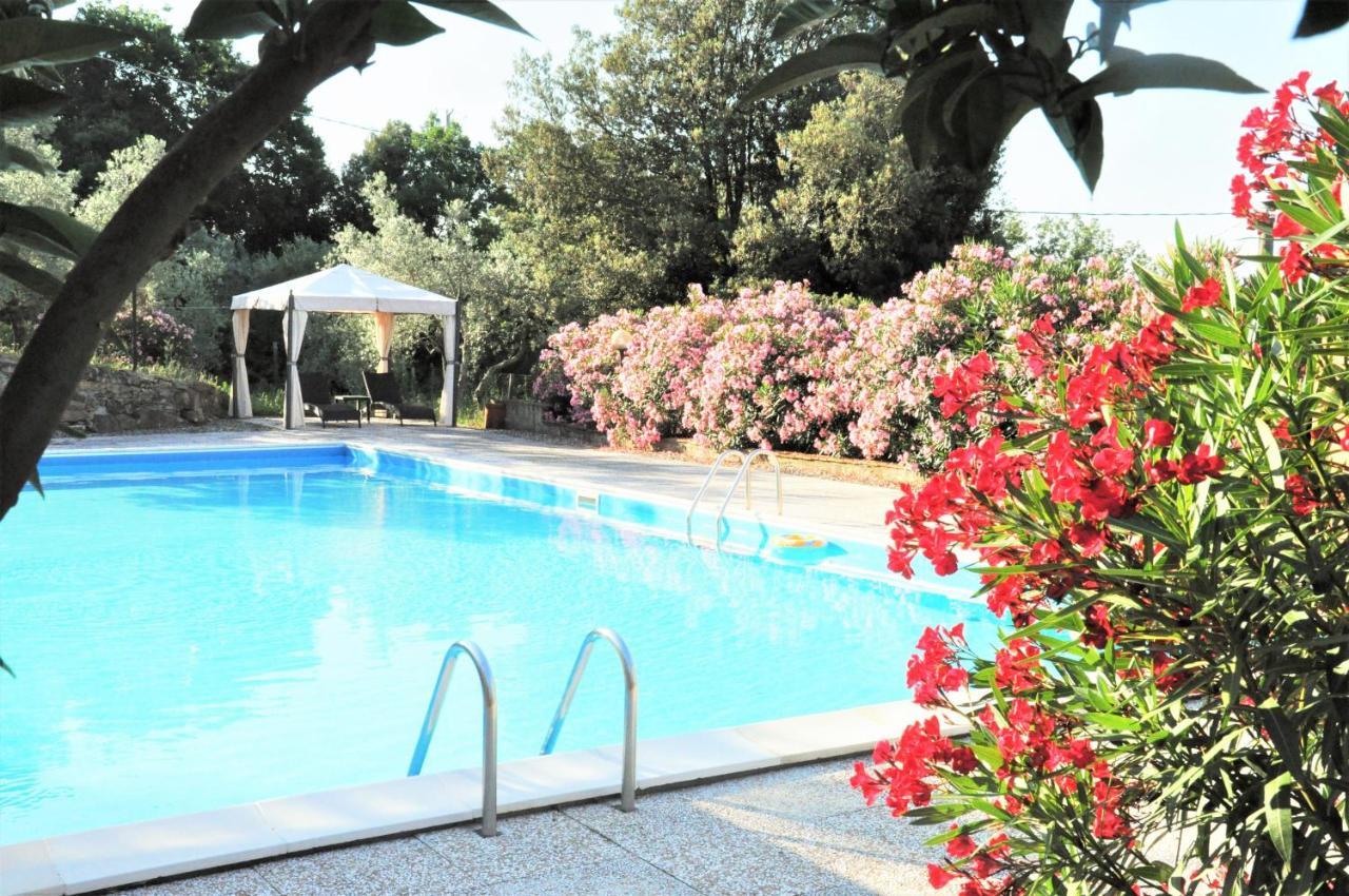 Roccatederighi Agriturismo Pereti المظهر الخارجي الصورة