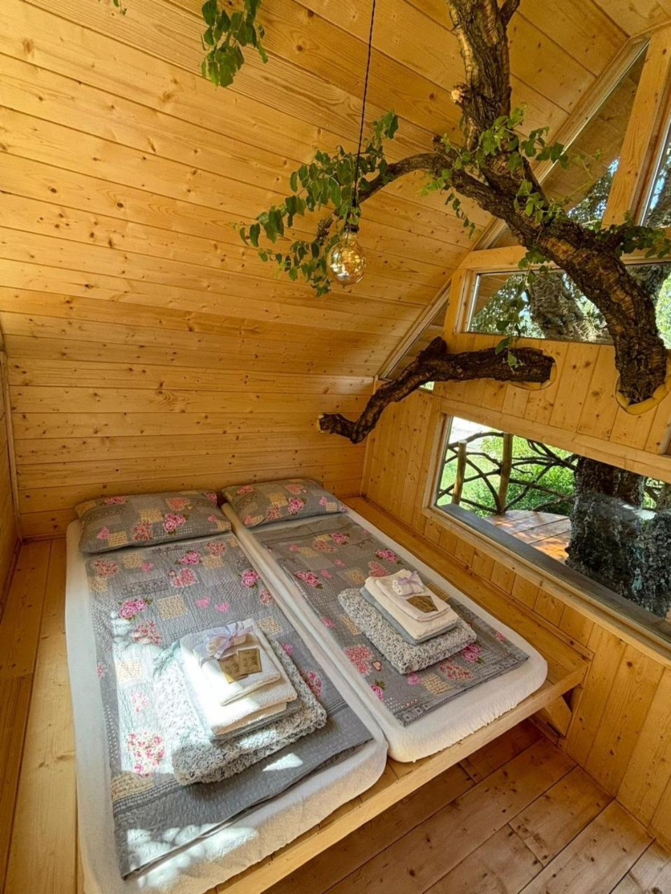 Roccatederighi Agriturismo Pereti المظهر الخارجي الصورة