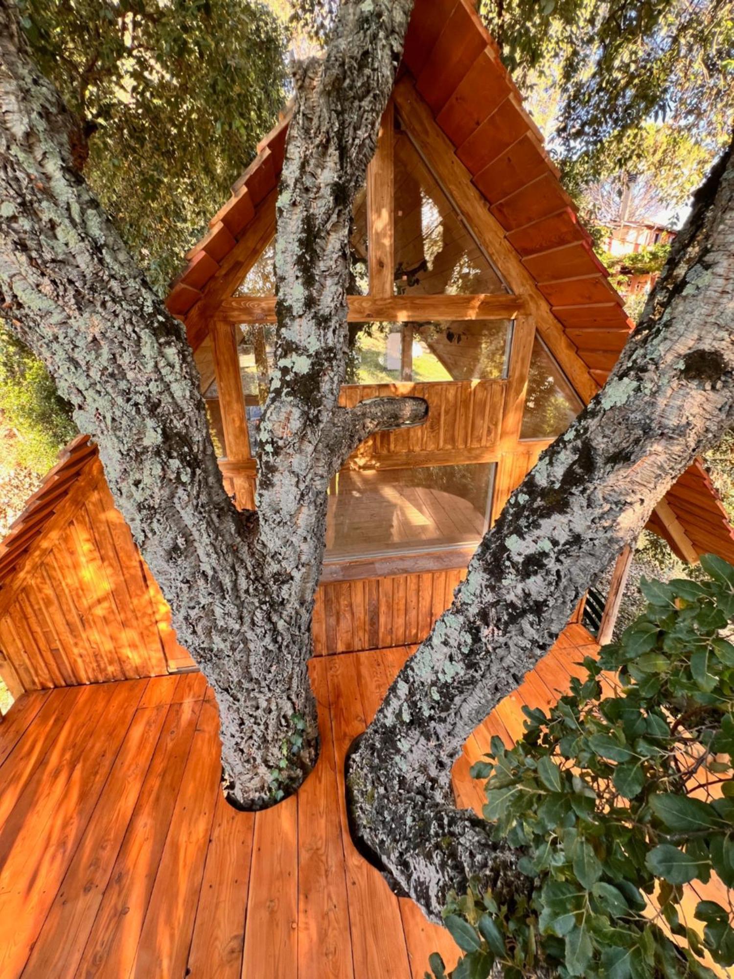 Roccatederighi Agriturismo Pereti المظهر الخارجي الصورة