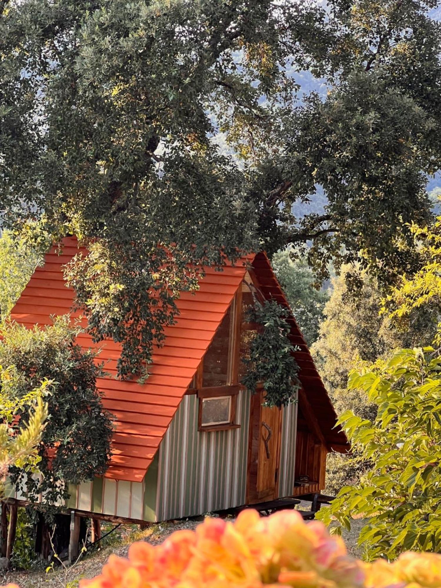 Roccatederighi Agriturismo Pereti المظهر الخارجي الصورة