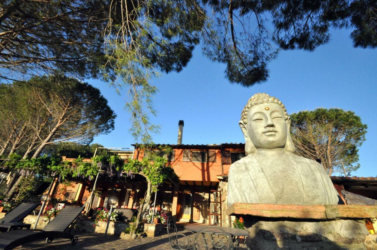 Roccatederighi Agriturismo Pereti المظهر الخارجي الصورة